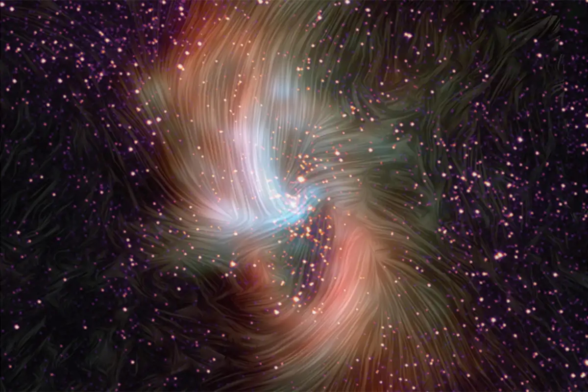 magnetic-fields-from-clouds-to-stars2024.jpg